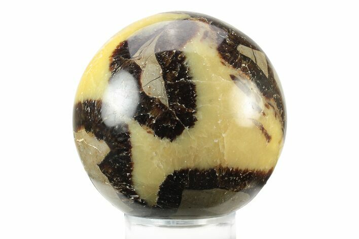 Polished Septarian Sphere - Madagascar #238991
